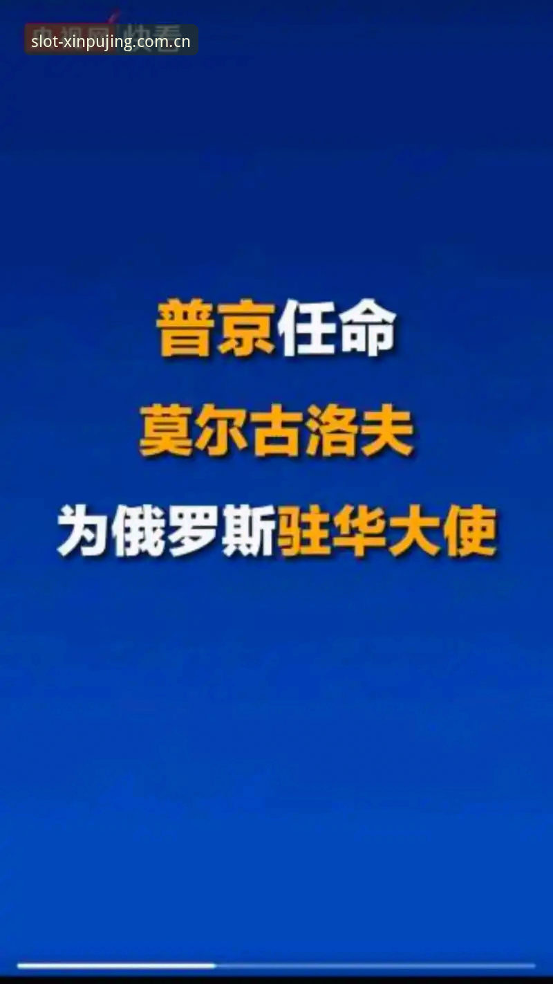 2024最新动态：新普京正版地址安卓版v2.1.0上线，老用户实测体验分享